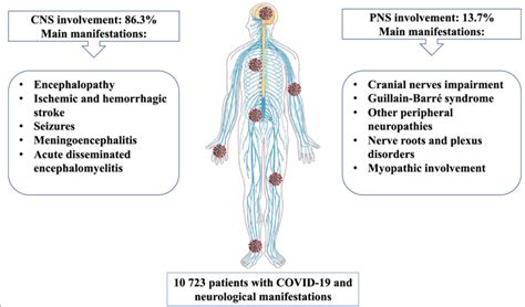 Summary of central and peripheral nervous system involvement by SARS... | Download Scientific ...