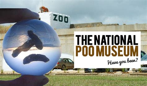 NATIONAL POO MUSEUM TO OPEN AT SANDOWN ZOO - Island Echo - 24hr news, 7 days a week across the ...