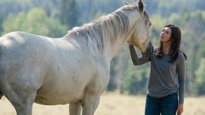 Heartland (S12E01): Dare to Dream Summary - Season 12 Episode 1 Guide