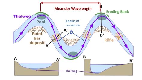 Why Do Streams Meander? | Ausable Freshwater Center