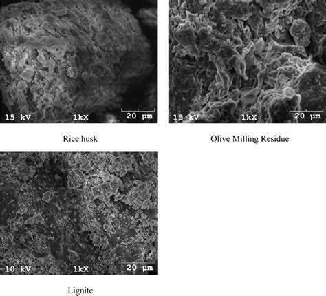 SEM micrographs of the samples. | Download Scientific Diagram