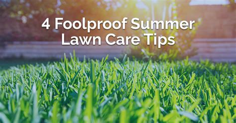 [INFOGRAPHIC] Summer Lawn Care Tips | How to Keep Yard Looking Nice All ...