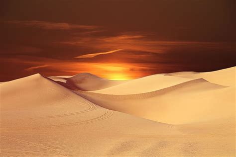 desert painting, desert, sun, landscape, sunset, dune, travel, horizon ...