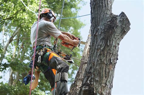 Arborist Rope & Climbing Equipment | Arborist Rigging