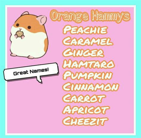 Adorable Hamster Names!🐹🐹🐹 | Hamsters! Amino