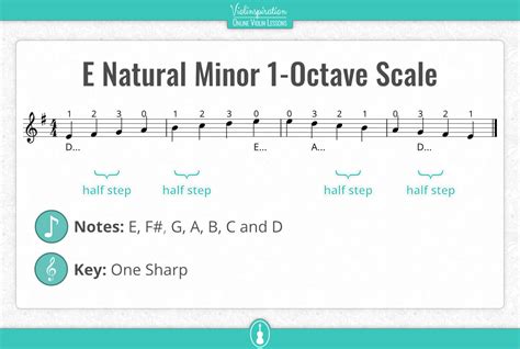 E Minor Scale on the Violin – Notes, Fingering and Charts - Violinspiration