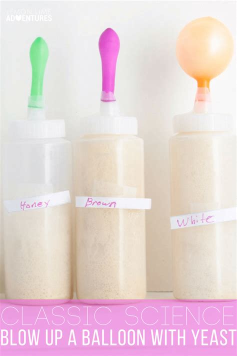 Amazingly Cool Classic Science | Yeast Science Experiment