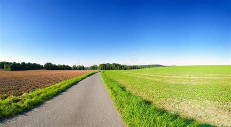 Farming landscape stock photo. Image of road, landscape - 15963468