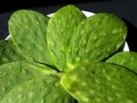 Nopal (cactus) Recipes for diabetes, obesity and skin problems