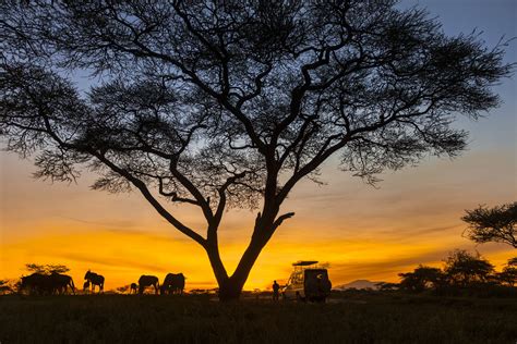 Serengeti National Park, Tanzania: the Complete Guide