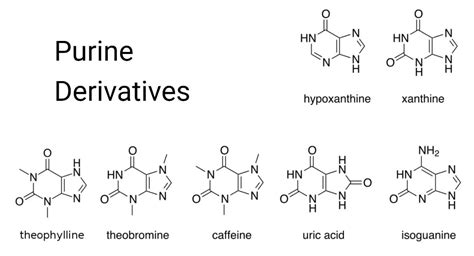 Purine- Structure, Types, Derivatives, Modification, Effects