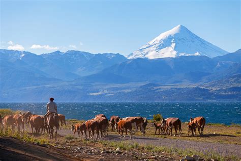 La culture en Argentine - pvtistes.net