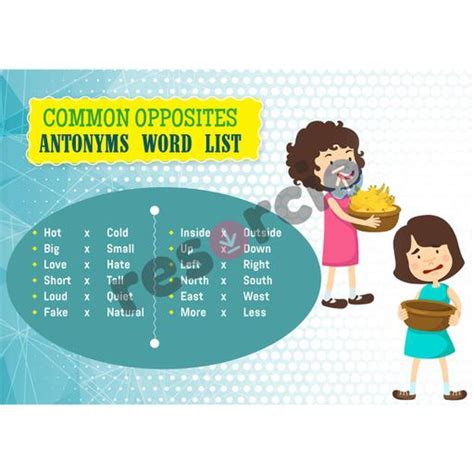 Common Opposites Antonyms Word List - Template 24