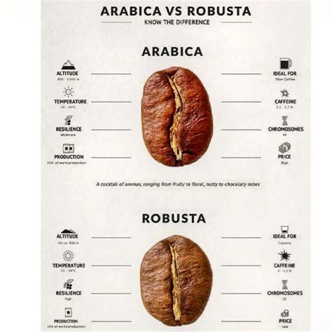 Mengenal Perbedaan Kopi Arabika Dan Kopi Robusta Yang, 56% OFF