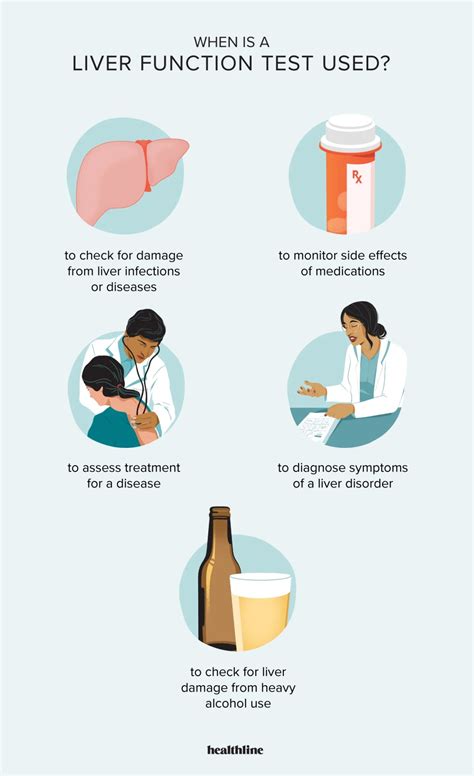 Liver Function Tests: Purpose, Procedure, and Results