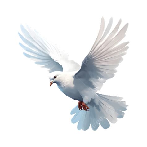 White Dove Clipart