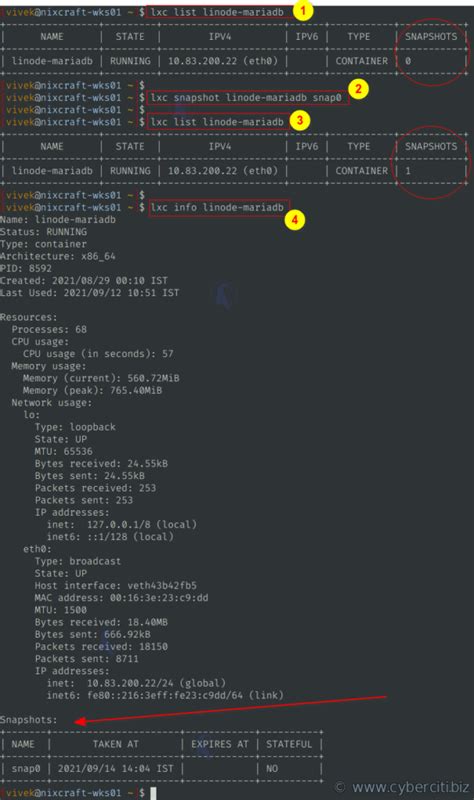 How do I list lxc snapshots for LXD on Linux? - nixCraft