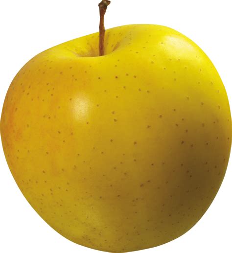 Yellow Apple PNG Image | Yellow apple, Apple, Fruit