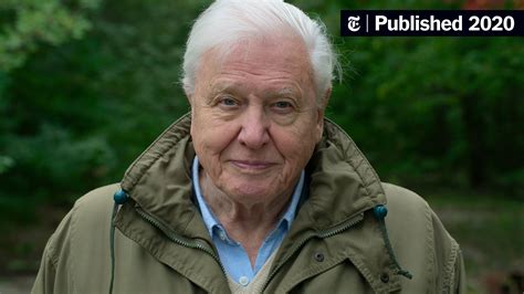 ‘David Attenborough: A Life on Our Planet’ Review: Ruin and Regrowth - The New York Times