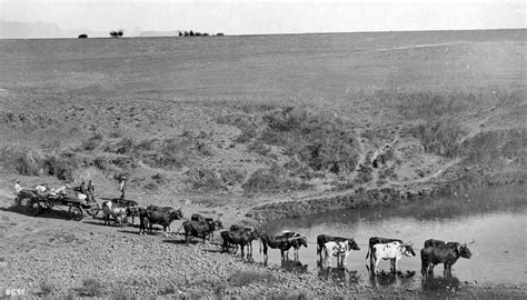 The Ox Wagon... | Wagon, Trek, Southern africa