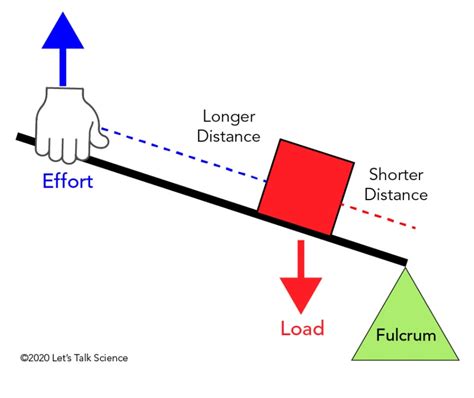 types of lever - Overview, Structure, Properties & Uses