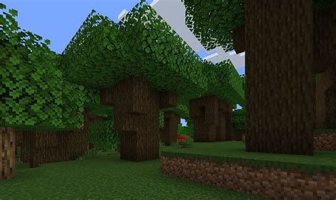 Dark Forest in Minecraft