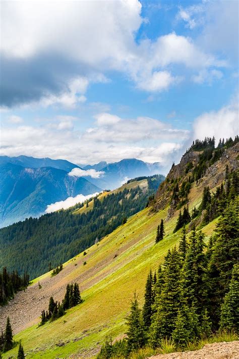Hurricane Hill in Olympic National Park | Get Inspired Everyday! Olympic National Park Camping ...