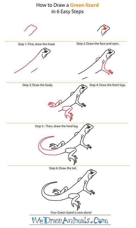 How to Draw a Green Lizard