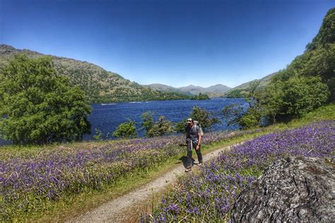 Hiking the West Highland Way in Scotland. - The Trek