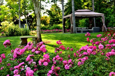 Beautiful Garden Pictures - PictureMeta