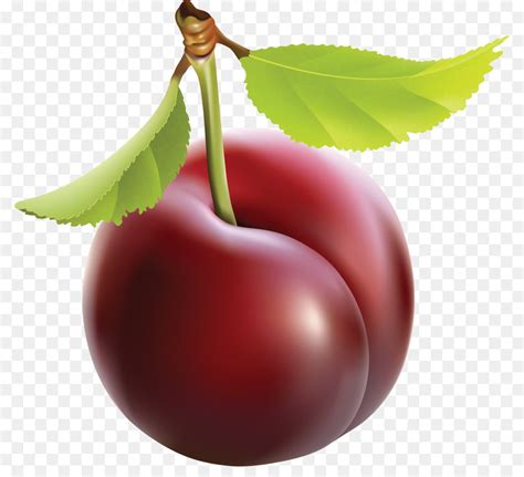 Free Plum Cliparts, Download Free Plum Cliparts png images, Free ClipArts on Clipart Library