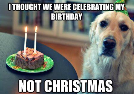 Top Funny Christmas & Jesus Birthday Meme - 2HappyBirthday