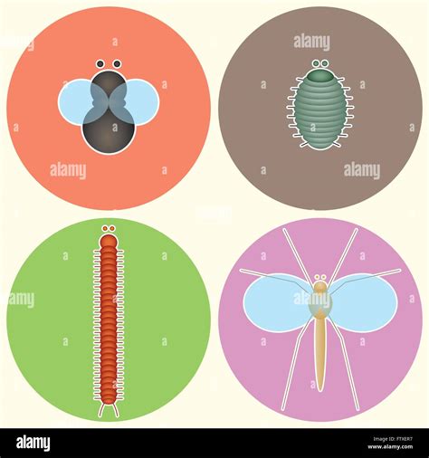 Collection of flying and scuttling insects: a fly, a pill bug, a ...