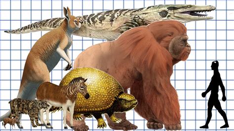 Cenozoic Beast: A size comparison - YouTube