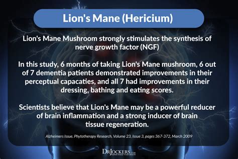 10 Benefits of Lion's Mane Mushroom | Lion mane, Lions mane mushroom ...