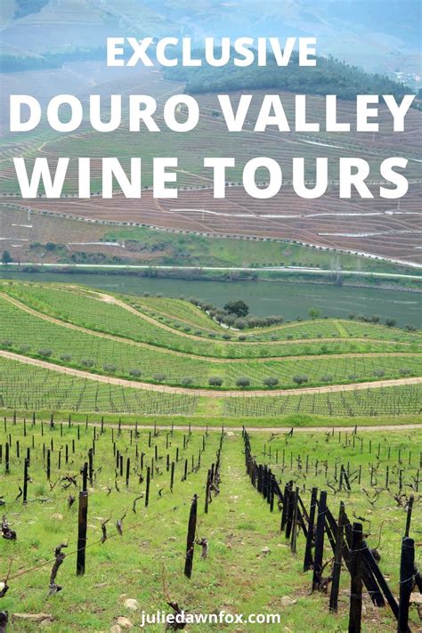 How To Feel Special On A Douro Valley Private Tour | Douro valley, Wine tour, Wine tourism