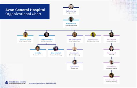 Organizational Structure Examples