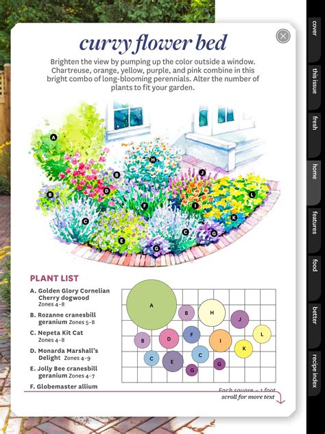 Flower bed plan | Flower garden plans, Cottage garden design, Cottage garden