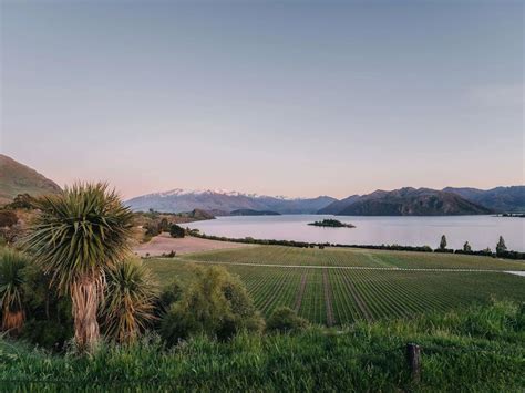 Featured Winery March 2024 - Rippon Vineyard Wanaka