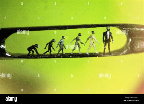 Willard Wigan micro-sculptures exhibition Stock Photo - Alamy