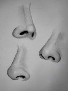 Pin by Ariadna Muñoz Iparraguirre on Draws | Nose drawing, Realistic drawings, Drawing people