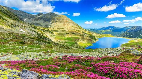 Retezat Mountains Romania - RomaniaTourStore