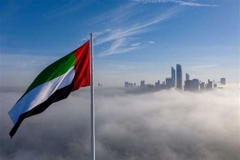 In pics: UAE leaders, residents, citizens, offices celebrate Flag Day