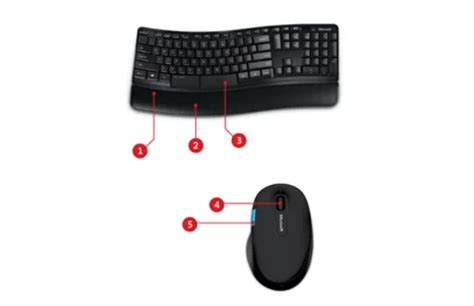 Microsoft sculpt ergonomic desktop keyboard - ayanawebzine.com