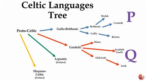 Celtic Languages Tree | Language history