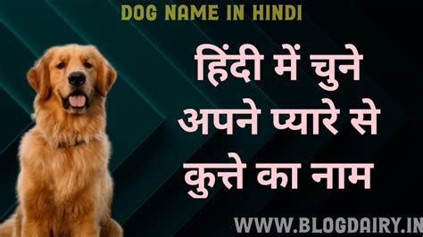 250+ Dog Name In Hindi