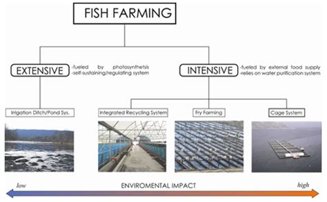 Aquaculture & Types