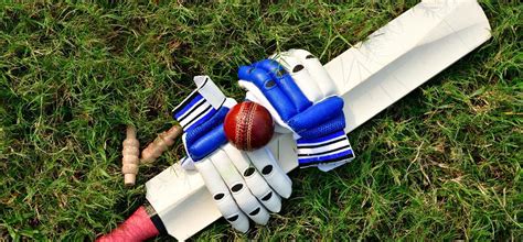 The Best Cricket Bats For Beginners | WhatsHot Delhi Ncr