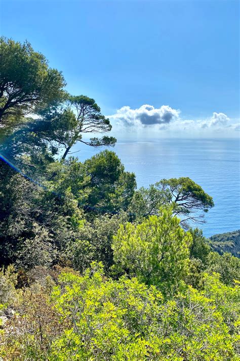 Port Cros Guide: A Côte d'Azur Island Gem | Landen Kerr