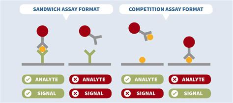 Lateral Flow Immunoassay - Creative Diagnostics